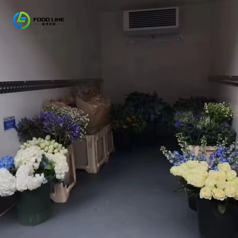 Remorque congélateur extérieure pour événements, chambre froide mobile, remorque réfrigérée pour rassemblements en plein air, personnalisable