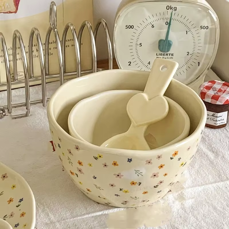 Filles en céramique coréen avancé en langue, niveau d'apparence élevé, diligence de fruits, pio à riz Filles et plat intermédiaires