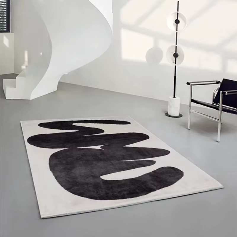 Tapis de salon minimaliste moderne
