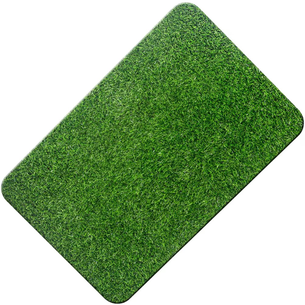 Tapis d'entrée antidérapant