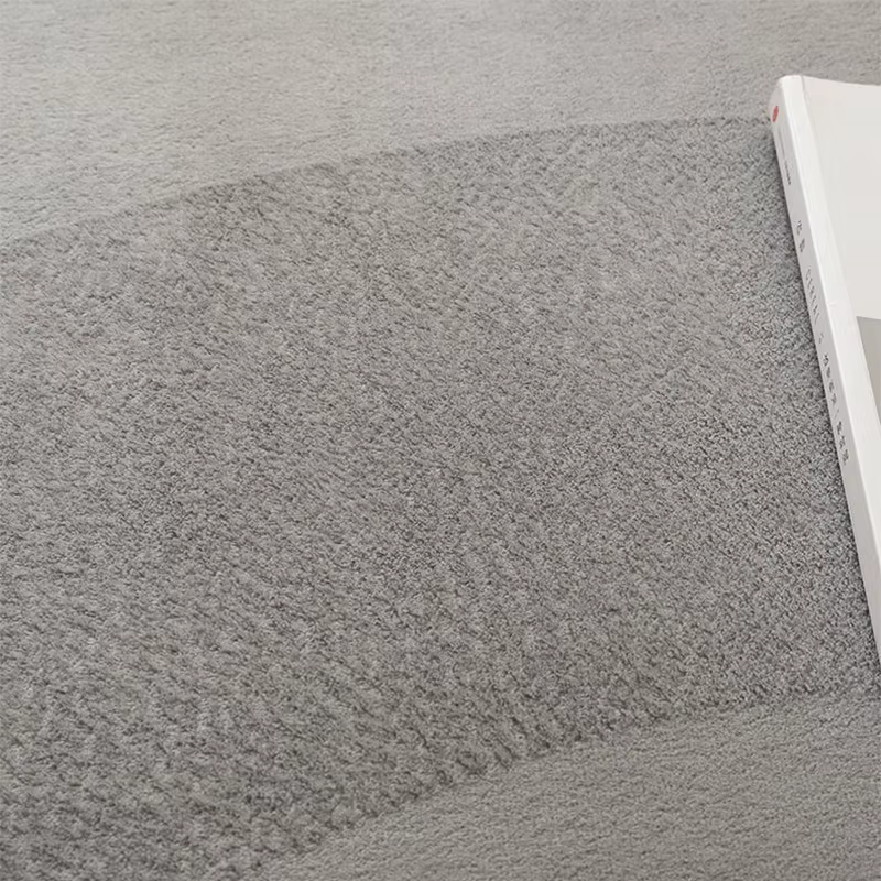 Grands tapis pour salon moderne