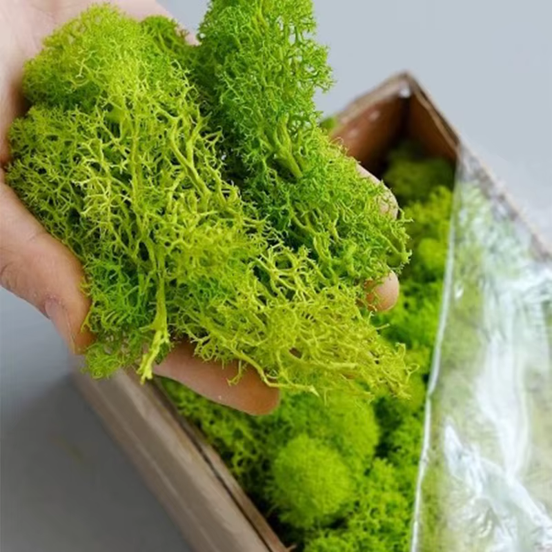 Plantes vertes artificielles