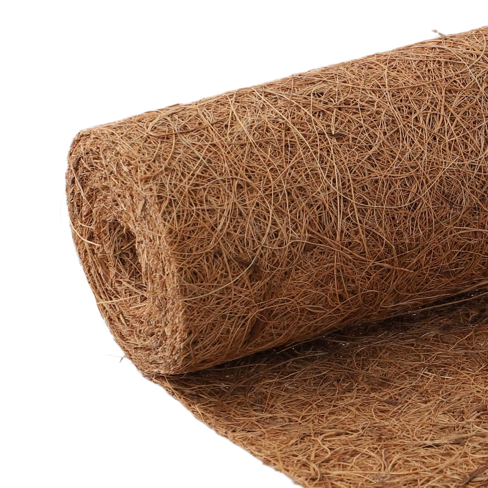 Tapis de sol en forme de cocotier