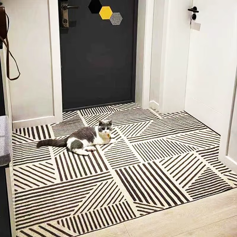 Le tapis de porte d'entrée peut être nettoyé