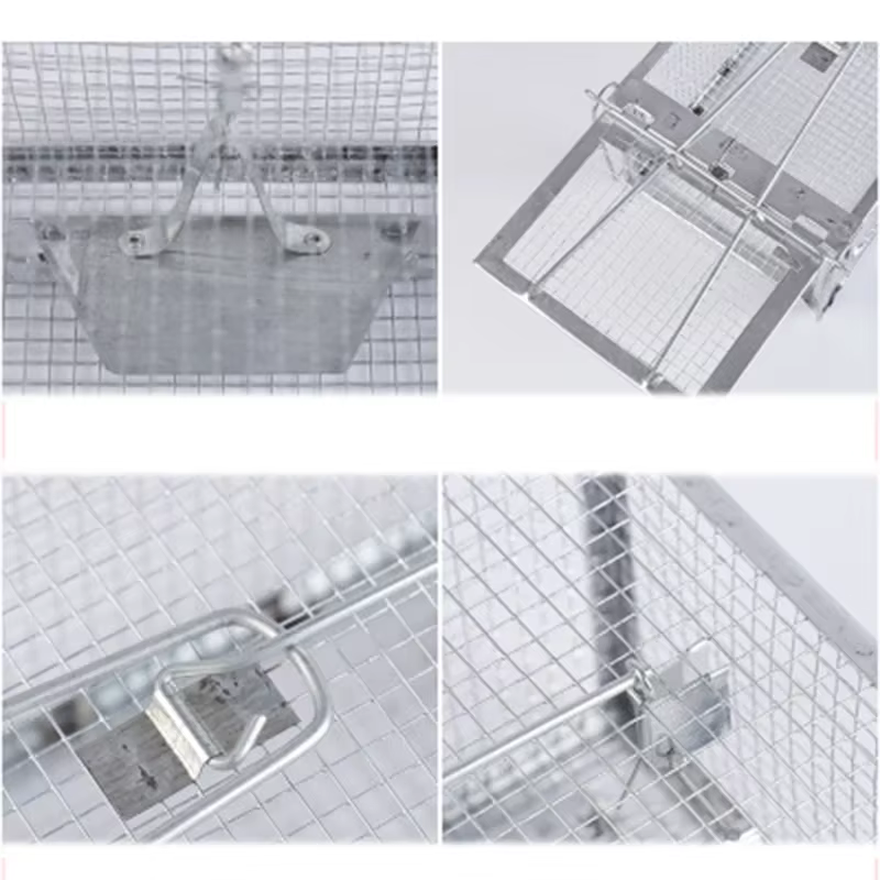Cage à rats, souris, rongeur, contrôle des animaux, appât de capture, piège à souris pour Hamster, maison vivante humaine, Cage tueur de Rat de haute qualité