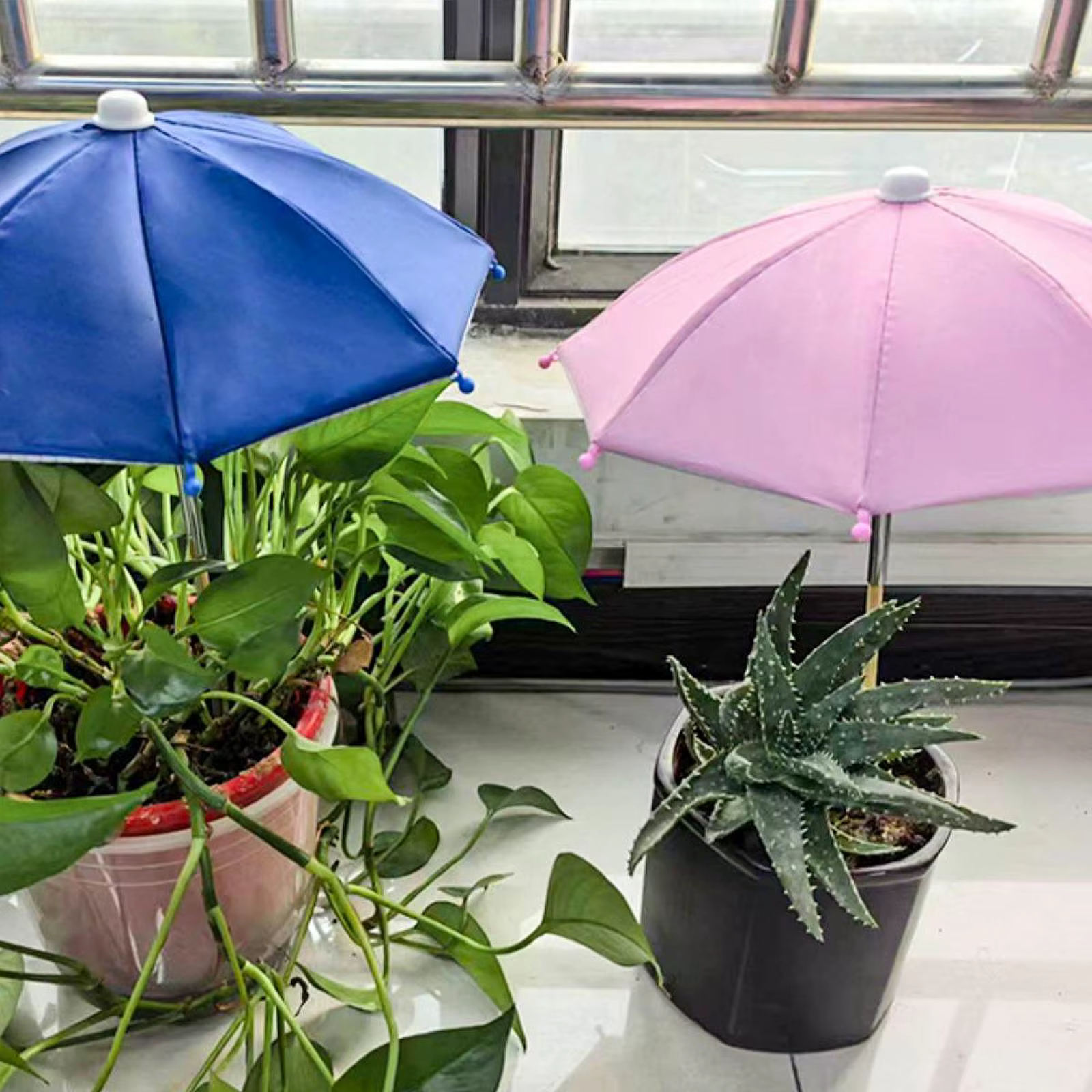 Parasol pour plantes, protection solaire