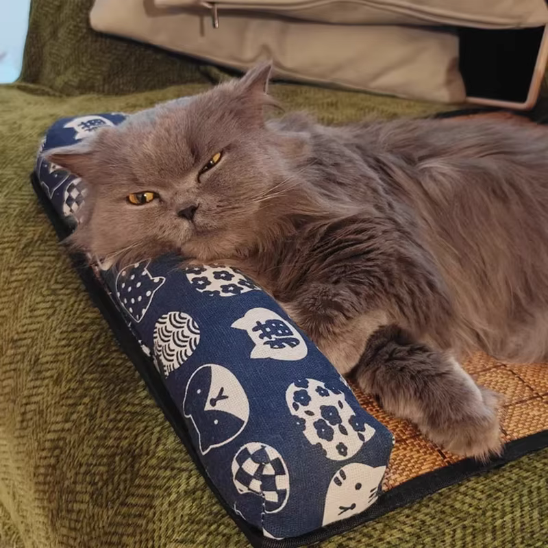 Tapis de refroidissement naturel pour chat