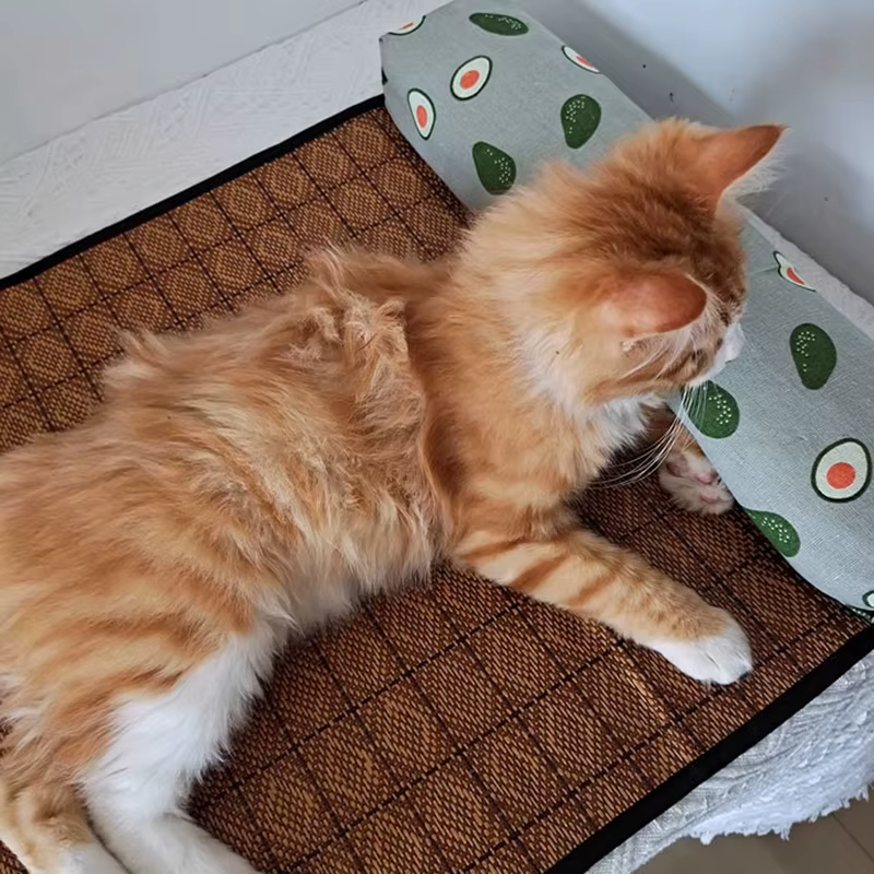 Tapis de refroidissement naturel pour chat