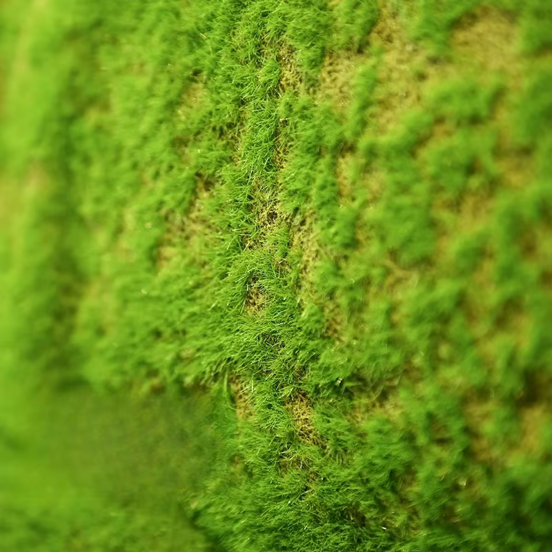 Gazon en Mousse Artificielle pour Décoration d'Extérieur