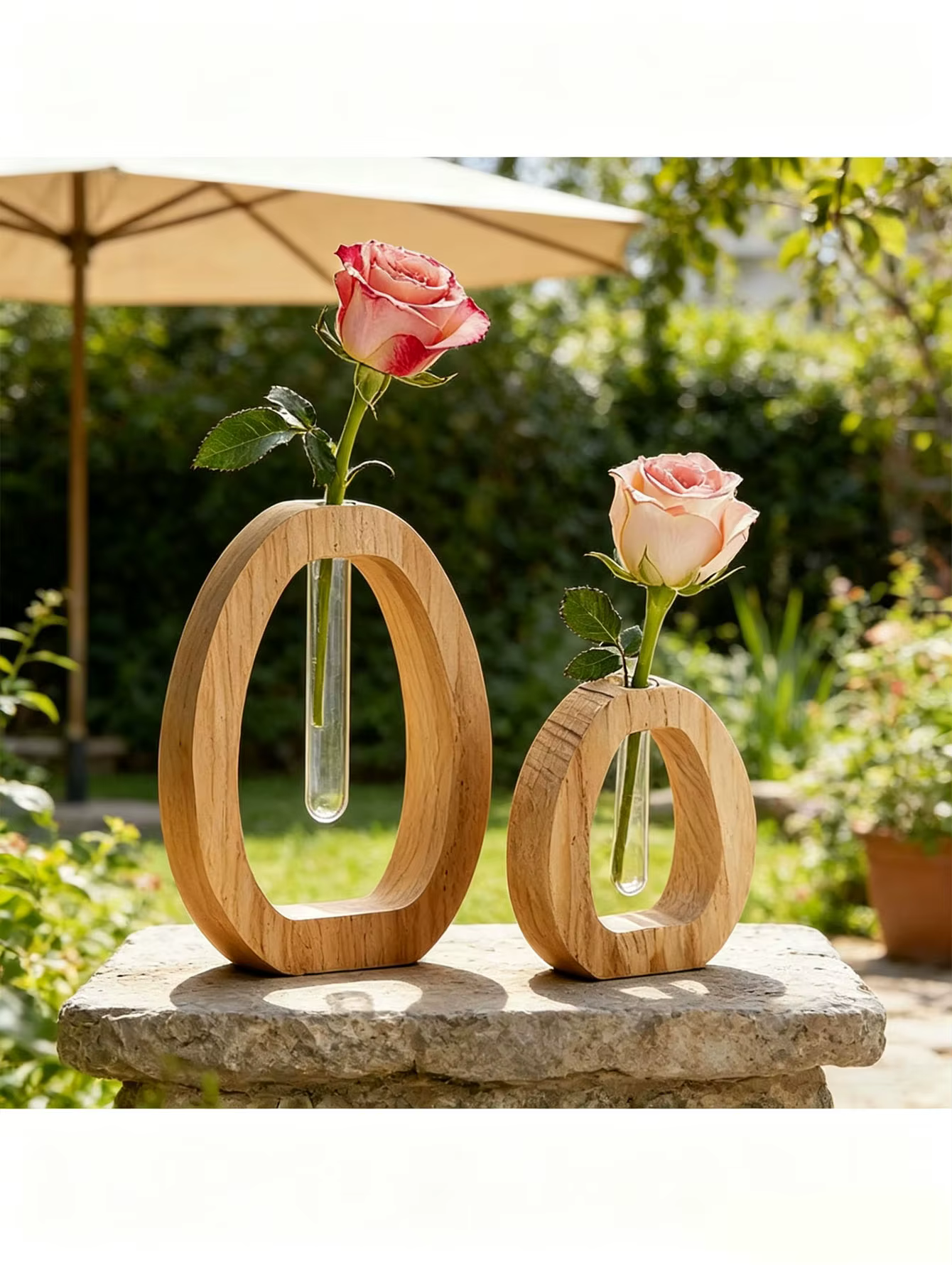 1 ensemble d'ornements décoratifs créatifs pour la culture de plantes vertes