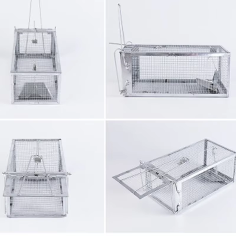 Cage à rats, souris, rongeur, contrôle des animaux, appât de capture, piège à souris pour Hamster, maison vivante humaine, Cage tueur de Rat de haute qualité