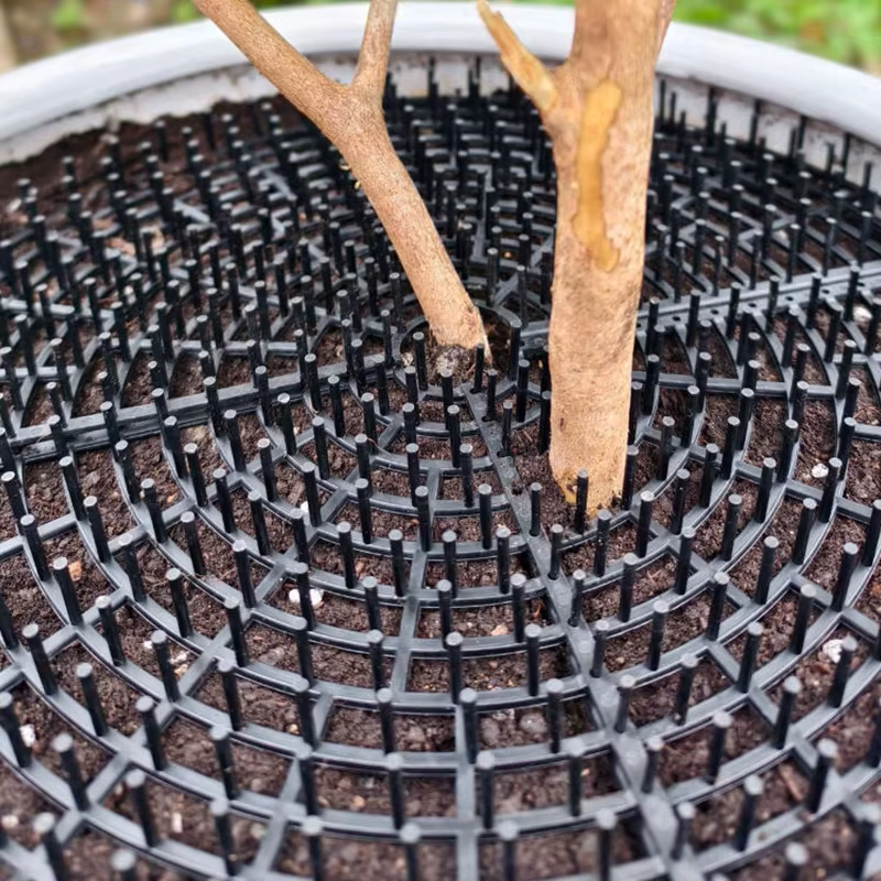 Grille de protection de sol pour pot de plantes à double usage