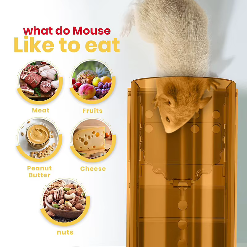 Piège à souris en plastique, 1 pièce, pour chambre à coucher, cuisine, entrepôt, capture facilement les rats, piège à pédale haute sensibilité, cadeau