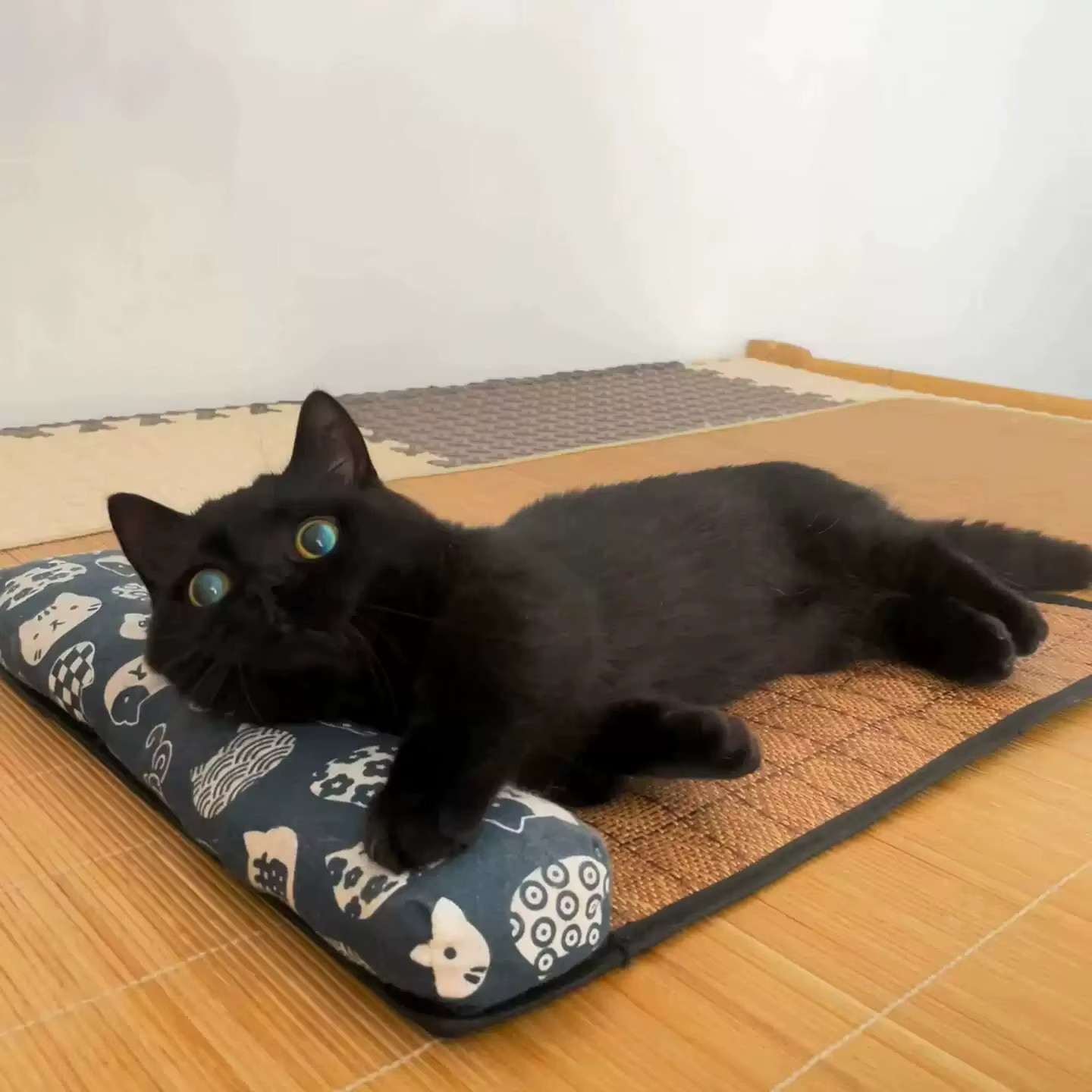 Tapis de refroidissement naturel pour chat