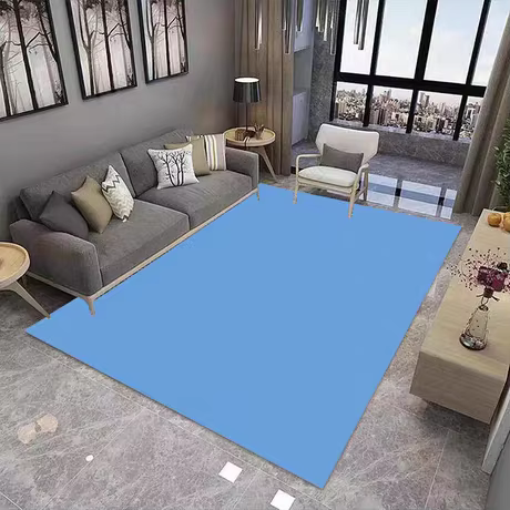 Tapis de salon Simple de couleur unie