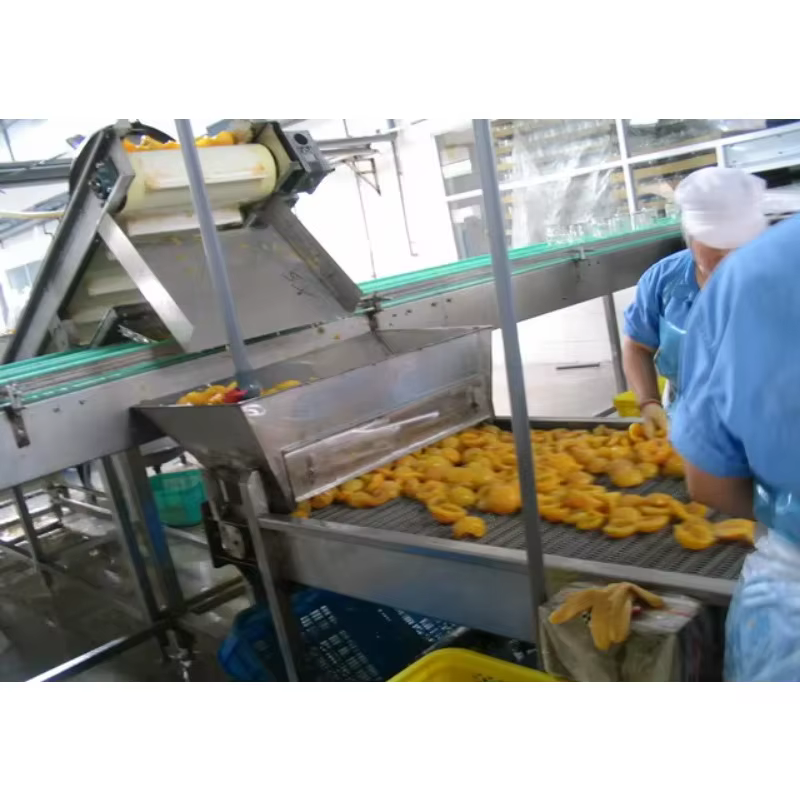 Ligne de production automatique d'équipement de machine de conserve en conserve de haricots de viandes de fruits et légumes