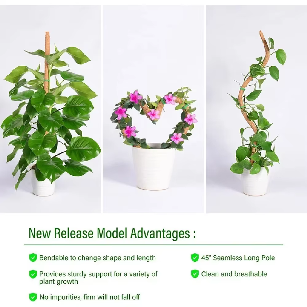 Échafaudage de plantes déformable, choses utiles pour accessoires de jardin, accessoires de plantes, Support de décoration extérieure, Support intérieur, Tutors pour la maison