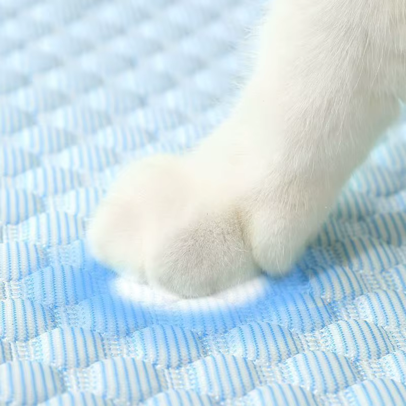 Tapis rafraîchissant pour chat